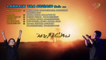 Labbaik Ya Husain Hasan Alvi Nohay 2016-17 (Muharrum 1438) HD