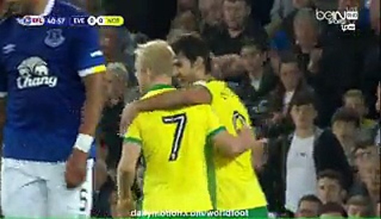 0-1 Steven Naismith Goal HD - Everton 0-1 Norwich City - 20.09.2016