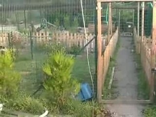 Vue d'ensemble de mon parc