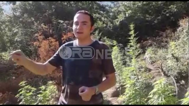 Ora News - PD: “Droga e Ramës në çdo rrethinë të vendlindjes së Ministrit të tij të Brendshëm”