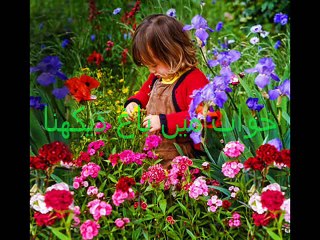 خواب میں باغ دیکھنا