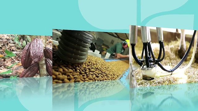 Hershey Named to Dow Jones Sustainability World Index for Fourth Consecutive Year | The Hershey Company