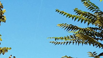 Scie chimiche nel cielo della Capitale 20 settembre 2016 martedì