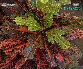 Portugal e o Mar, ep6, O Mar Elemento do Poder Económico Nacional, RTP Memória