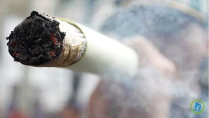 As Marijuana Use Increases, Popular Perception of Physical Harm Decreasing