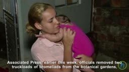 Miami Landscapes Flowers Prone to Mosquito Breeding To Fight Zika Growth