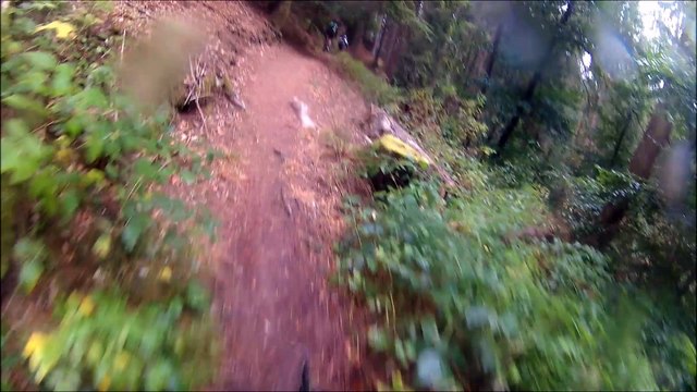 New Bikers 8000 @Pfalzerwald HD