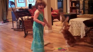 Cats Vs. Kids - Who Is Cuter - Compilation