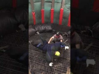 Ohio Man Learns Indoor Skydiving Not a "one-Size-Fits-All" Activity