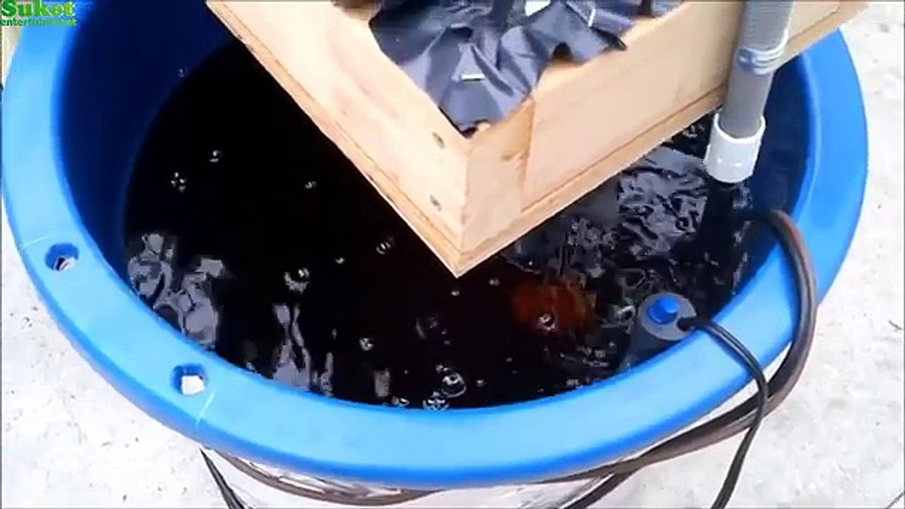 NEW! ! PLANT watermelon with the media pvc system ( hydrophonic