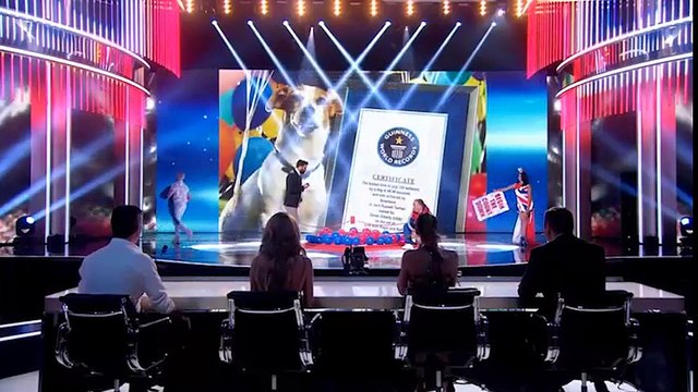 Xin chào, tôi là người đại diện chính thức của kỉ lục Guinness thế giới