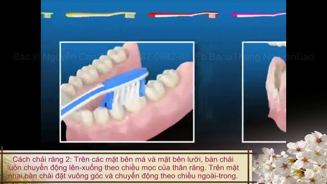Cách vệ sinh răng miệng - chải răng - dùng chỉ nha khoa đúng cách