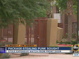Package thief caught on camera in Tempe