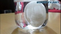 Cách làm một quả bóng từ trứng