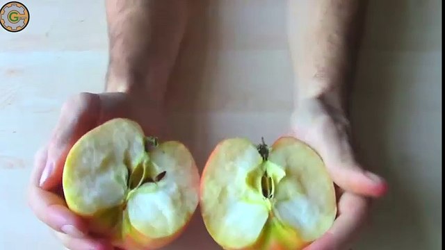 10 mẹo vặt giúp cuộc sống của bạn dễ dàng hơn