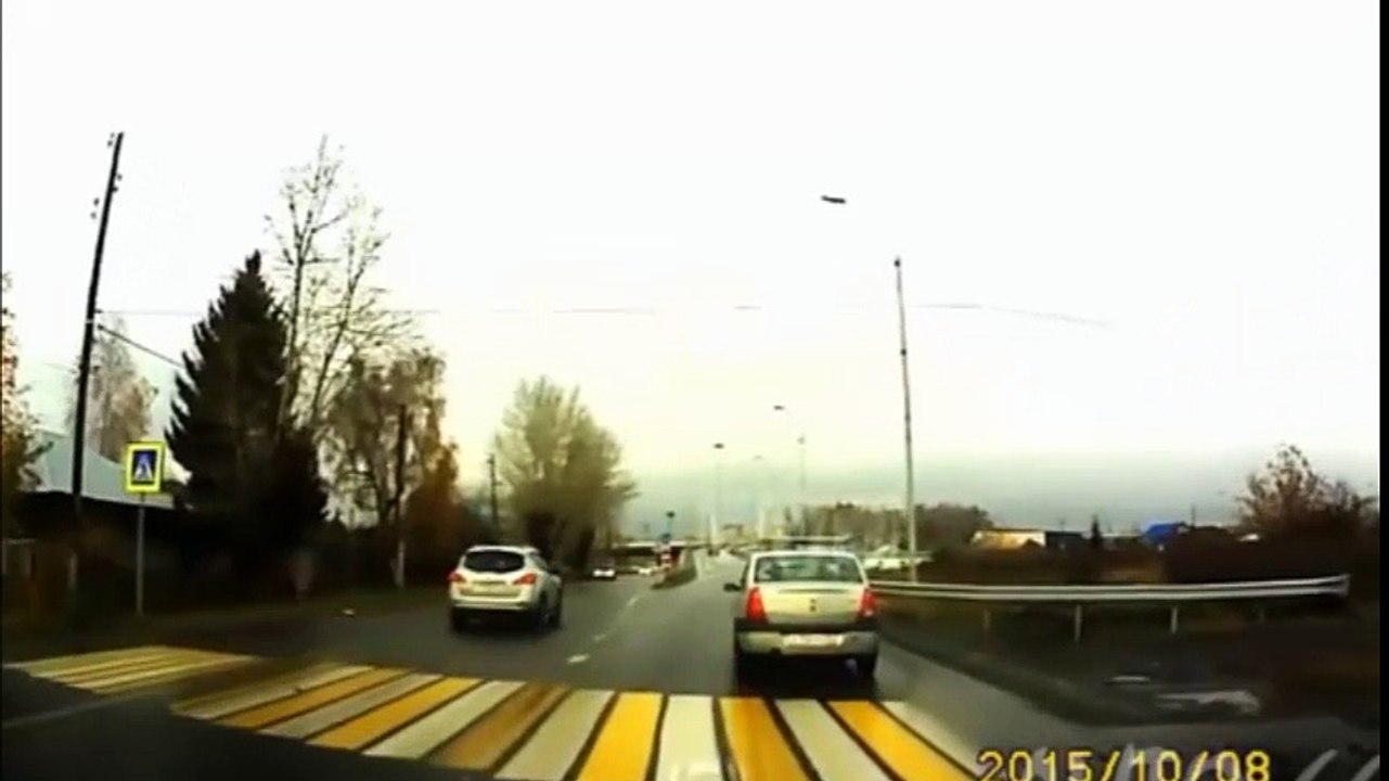 Đến con chó còn phải cười vì có nhiều người không bằng nó