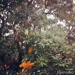 "Hụt hẫng" trước khả năng ngoại ngữ của thành viên nhóm BB&BG