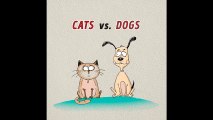 Sự khác nhau giữa chó và mèo