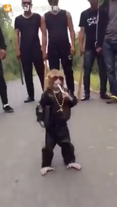 Little don came  And upon all