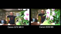 Canon G7X Mark II vs Canon EOS M3 Vlogging Camera Test Comparison