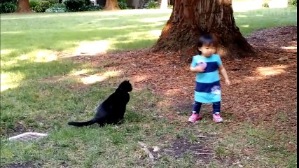 Tai nạn được gây nên bởi động vật - phần 2