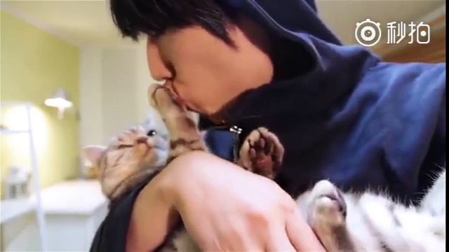 Cười đau bụng với em mèo chảnh chó nhất thế giới