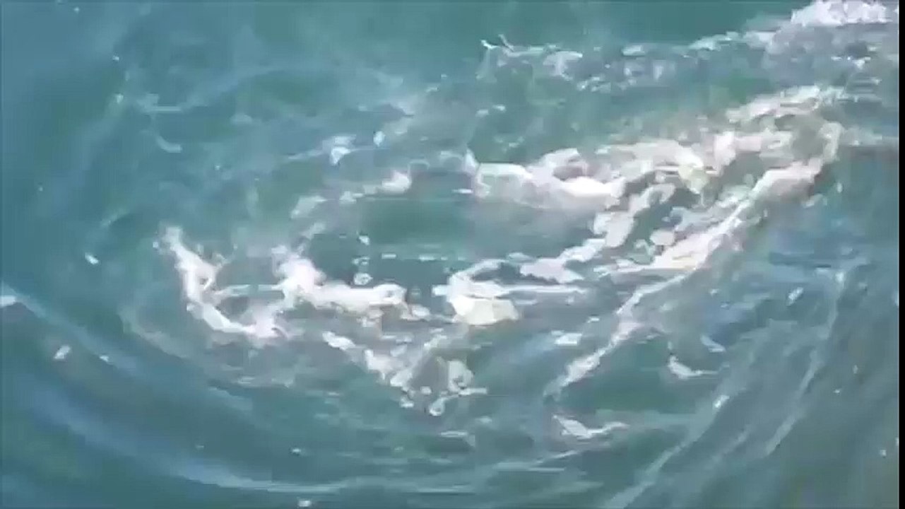 Người đàn ông liều mình xuống nước quay cận cảnh vòng xoáy nguy hiểm