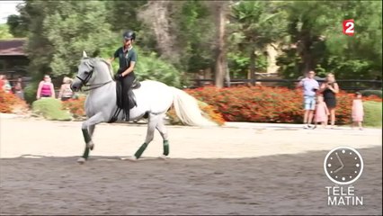 Coulisses - L’art équestre andalou