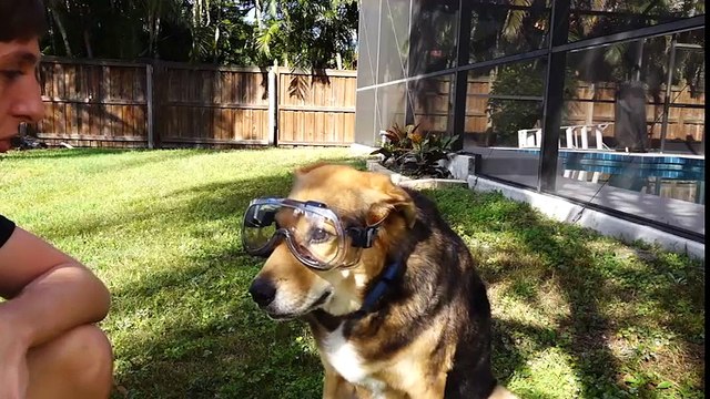 Cẩm nang giải trí Khoảnh khắc đẹp không tưởng khi đổ nhôm nóng chảy vào bể nước chứa hạt thuỷ tinh