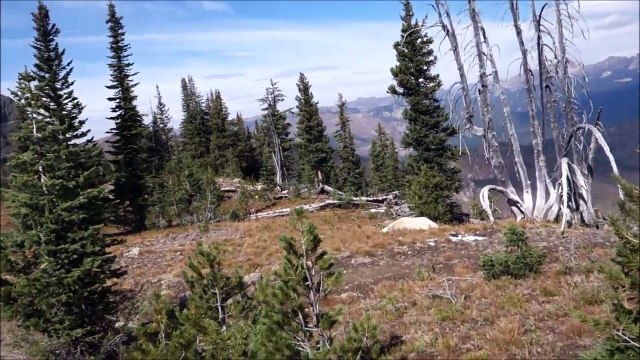 Quand tu déranges une chèvre des montagnes en pleine sieste