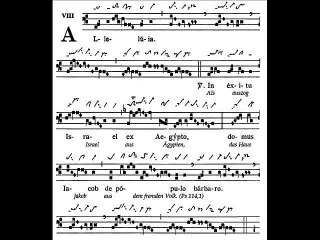 Alleluia In exitu Israël, Dominica XXVII TpA (27 TO)