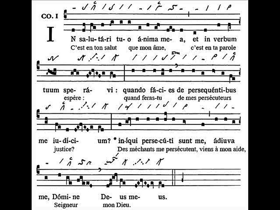 Communio In salutari tuo, Dominica XXVII TpA (27 TO)