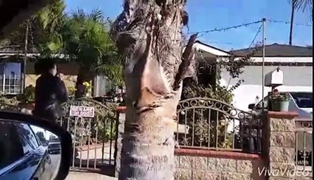 Giang Hồng Ngọc chạy mất dép vì bị chó tấn công