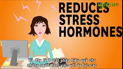 Những thực phẩm giúp giảm stress