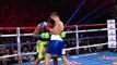 Gennady Golovkin vs. Dominic Wade - HBO World Championship Boxing Highlights-MpSru51EtwI