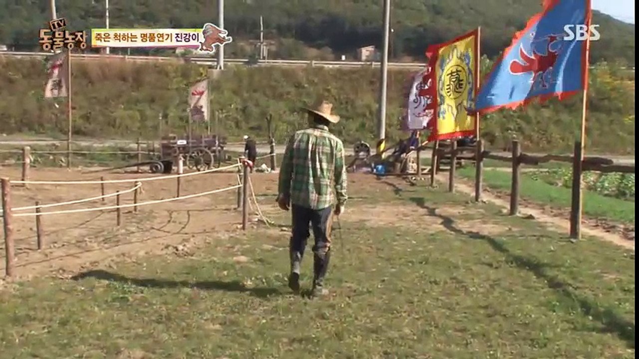 Buồn cười chú ngựa giả chết mỗi khi bị kêu cưỡi