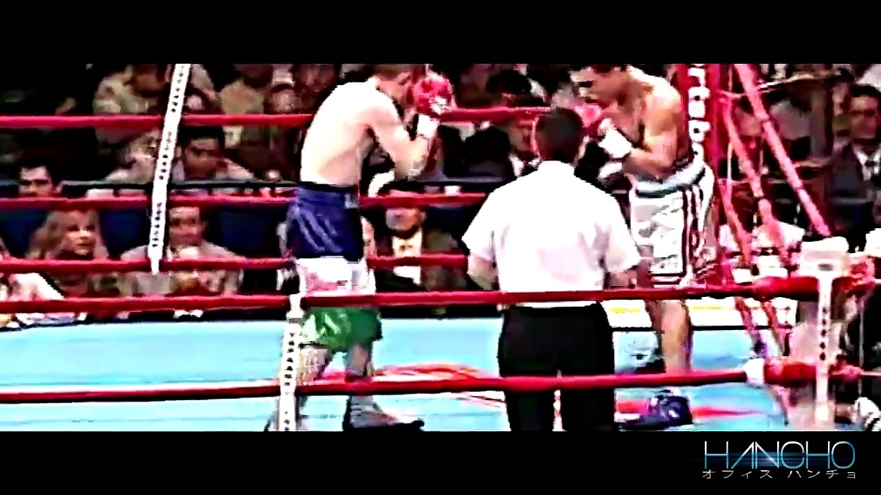 Miguel cotto Fights HD _ Showtime HBO Boxing 2016 new _ 2016 new boxing-PK_zvty9JzM