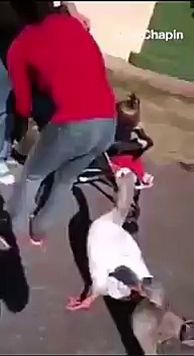 Ooooops !!!! hhhhhhhhhh canard malicieuse