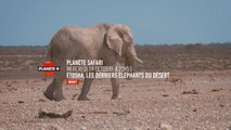Planète safari - Extrait de l'épisode 4