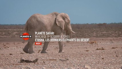 Planète safari - Extrait de l'épisode 4