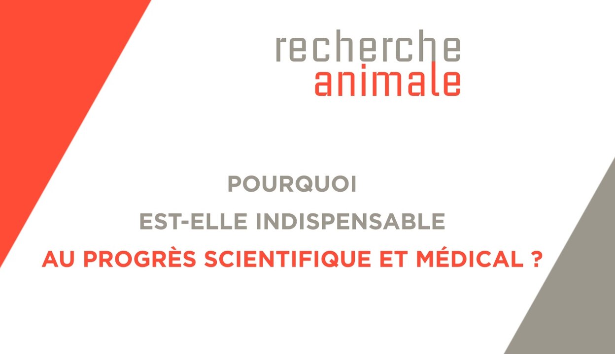 Gircor - Recherche animale