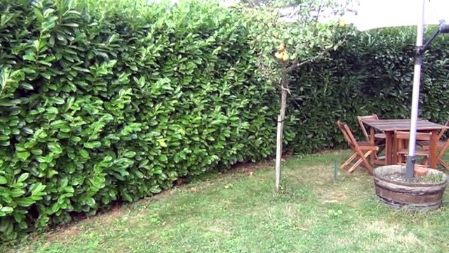 Quetigny belle maison - Agence CARREZ Immobilier