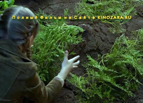 Дом Странных Детей Мисс Перегрин 2016 Полный Фильм Смотреть Онлайн в Хорошем Качестве HD