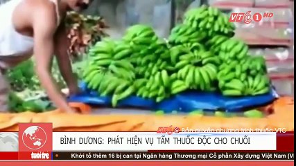 Clip phát hiện tẩm thuốc độc cho chuối ở Bình Dương