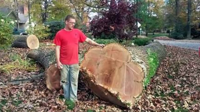Lucky's Tree Service - Cuyahoga Falls - (330) 222-6221