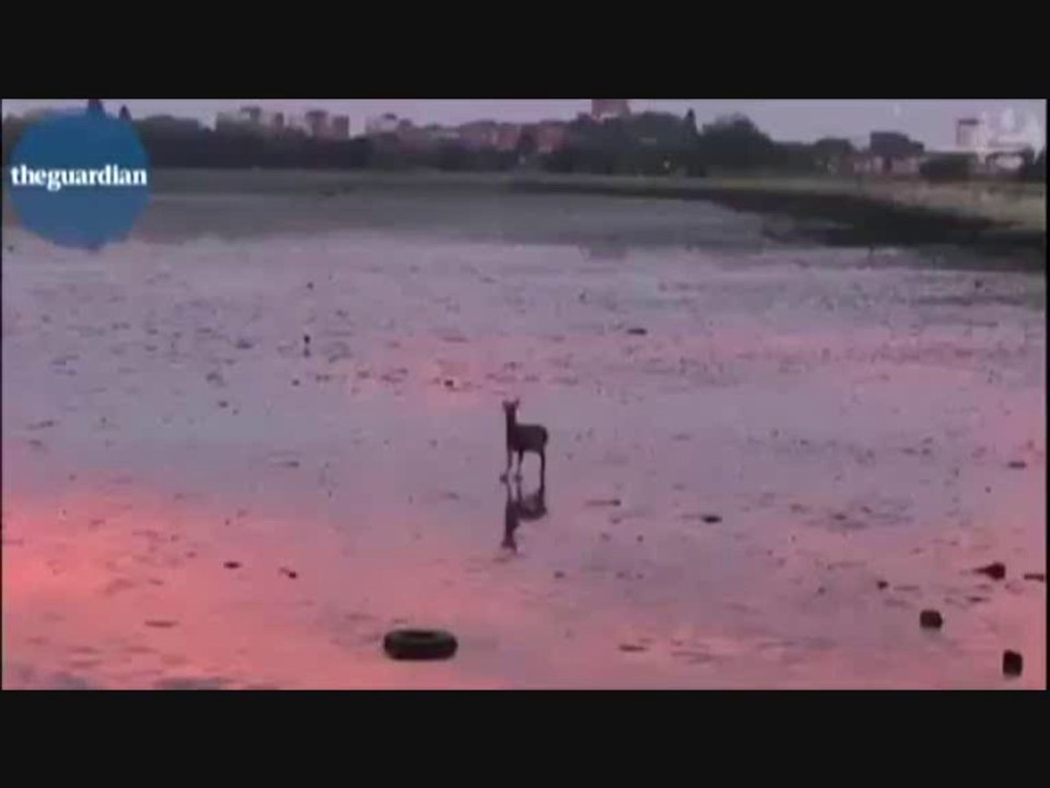 I Doe Like To Be Beside The Seaside!