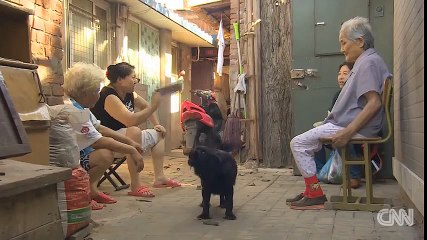 Bé gái mới sinh được tìm thấy dưới toilet