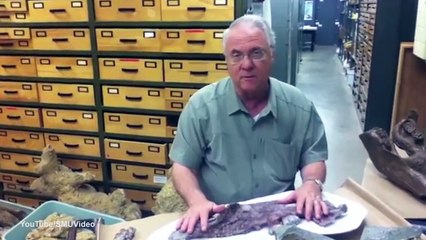 Loài hà mã mới có cách ăn uống kì lạ