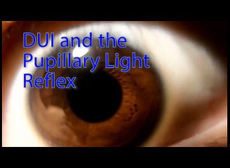 Sáng chế máy đo nồng độ cồn từ lõi giấy vệ sinh