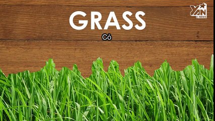 17 rắc rối vì làm đẹp mà chỉ phụ nữ mới hiểu